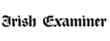 IrishExaminer logo